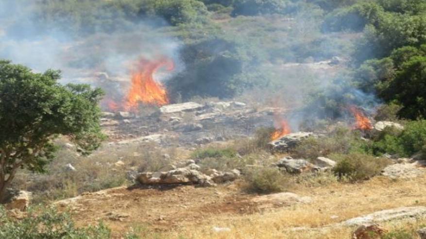 İsrail Askerleri Lübnan Ormanlarını Kundaklıyor
