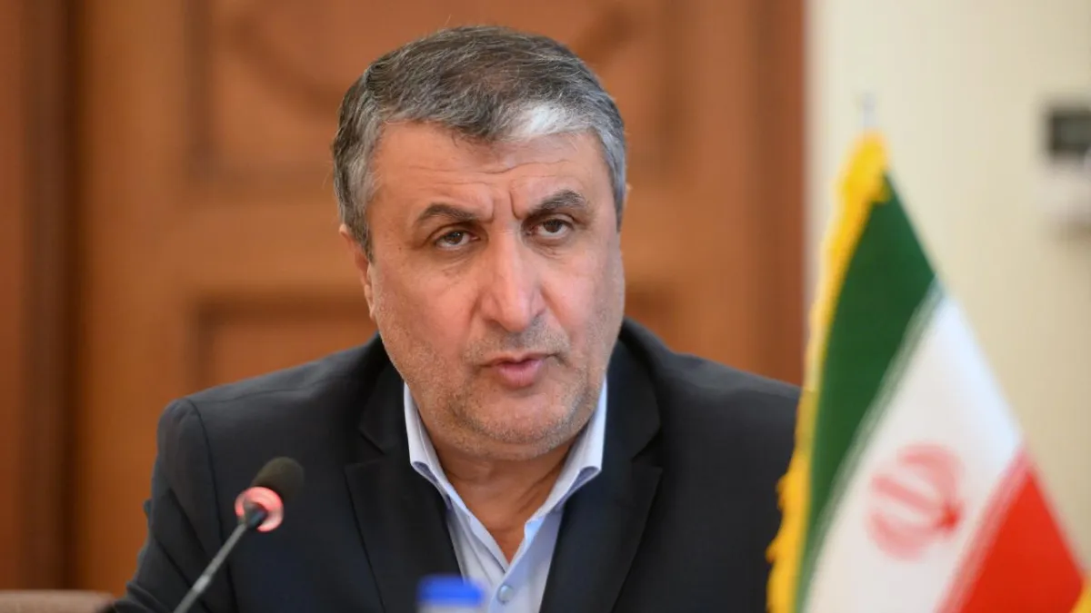 İranlı Yetkili: Asıl Zanlılar Mağdur Rolü Yapıyor