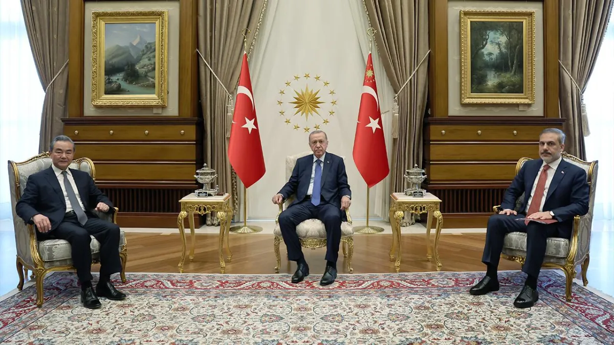 Çin-Türkiye Dengeleme Eylemi