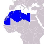 arap-magrib-birligi-ulkeler-ataga-gecmeli.jpg