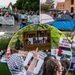 kampus-protestolari-neden-kuresel-tehdit-goruluyor-14283.jpeg